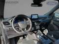 Ford Kuga ST-Line X LED+AHK+Glasdach+Kamera+SHZ Gris - thumbnail 10