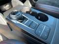 Ford Kuga ST-Line X LED+AHK+Glasdach+Kamera+SHZ Gris - thumbnail 16