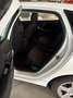 Volvo V40 V40 2.0 d2 Business my19 Bianco - thumbnail 8