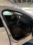 Volvo V40 V40 2.0 d2 Business my19 Bianco - thumbnail 11