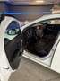 Volvo V40 V40 2.0 d2 Business my19 Bianco - thumbnail 3