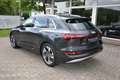 Audi e-tron 50 quattro Launch Edition Plus Pro Line*AHK - thumbnail 9