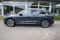 Audi e-tron 50 quattro Launch Edition Plus Pro Line*AHK - thumbnail 6