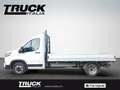 Maxus Deliver 9 Deliver - Deliver 9 2.0 crdi 150cv L4 cab rwd r.ge Bianco - thumbnail 5