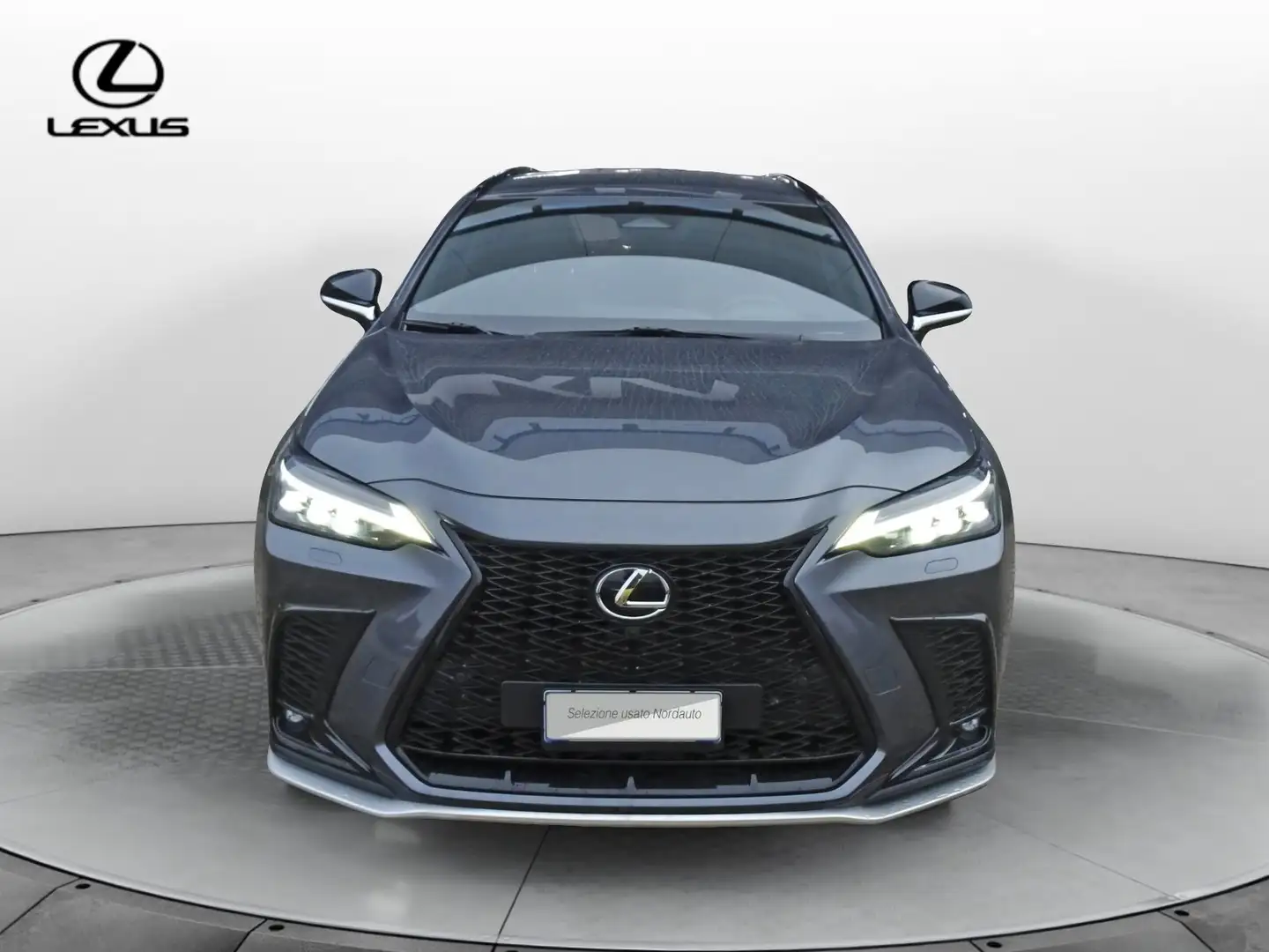 Lexus NX 300 NX Hybrid 4WD F-Sport Grau - 2