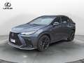 Lexus NX 300 NX Hybrid 4WD F-Sport Grau - thumbnail 1