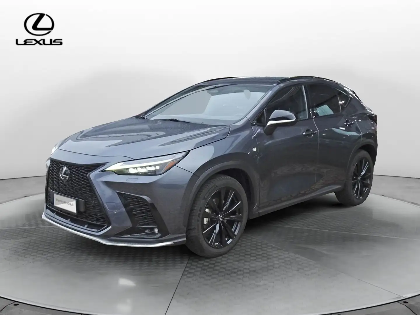 Lexus NX 300 NX Hybrid 4WD F-Sport Grau - 1