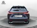 Lexus NX 300 NX Hybrid 4WD F-Sport Grau - thumbnail 6