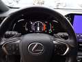 Lexus NX 300 NX Hybrid 4WD F-Sport Grau - thumbnail 14