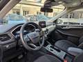 Ford Kuga 1.5 EcoBlue 120 CV aut. 2WD OFFERTA FINANZIARIA Grigio - thumbnail 7