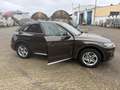 Audi Q5 quattro design Braun - thumbnail 12