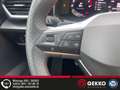 SEAT Leon FR Limited Edition +NAVI+Matrix LED+SZH+PDC+PANO+K Gris - thumbnail 21