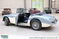 Austin-Healey 3000 sehr schöner Zustand Azul - thumbnail 37