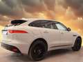 Jaguar F-Pace 30d R-Sport AWD *22Zoll Pano Virtual Kam* Gris - thumbnail 9