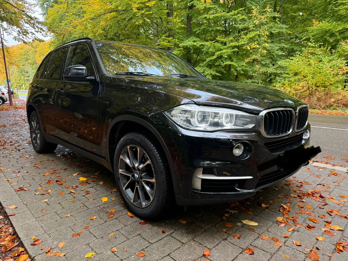 BMW X5 xDrive35i 306 ch BVA8 xLine - 1