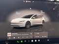 Tesla Model 3 Standard rwd Unicoproprietario Blu/Azzurro - thumbnail 15
