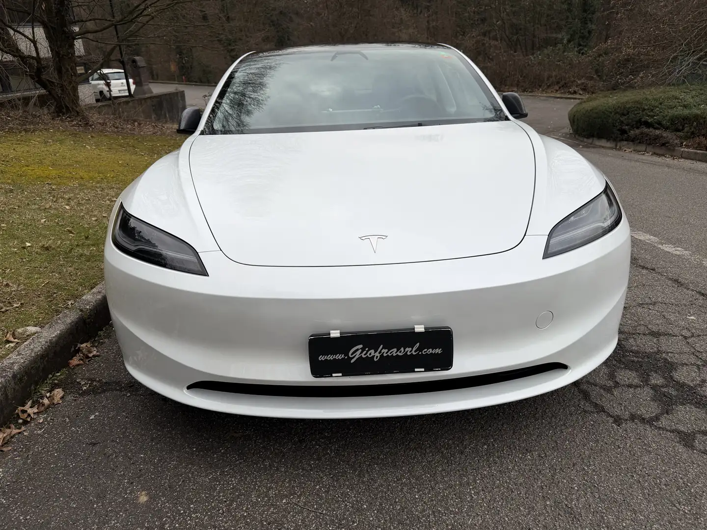 Tesla Model 3 Standard rwd Unicoproprietario Blu/Azzurro - 2