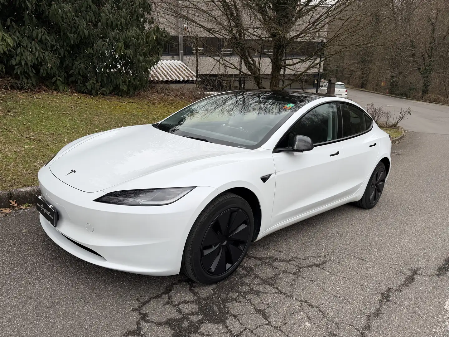 Tesla Model 3 Standard rwd Unicoproprietario Blu/Azzurro - 1