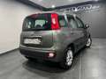 Fiat New Panda 1.2 69 CV LOUNGE  5° POSTO Grigio - thumbnail 4