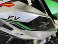 Kawasaki Z 1 E-1 Electric Groen - thumbnail 9