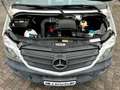 Mercedes-Benz Sprinter II Kasten 316 CDI/KLIMA/NAVI/SHZ/PDC Wit - thumbnail 23