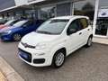 Fiat Panda 1.2 Easy 69cv Grigio - thumbnail 5
