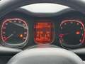 Fiat Panda 1.2 Easy 69cv Grigio - thumbnail 14