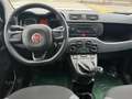 Fiat Panda 1.2 Easy 69cv Grigio - thumbnail 10