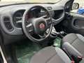 Fiat Panda 1.2 Easy 69cv Grigio - thumbnail 9