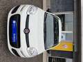 Fiat Panda 1.2 Easy 69cv Grigio - thumbnail 6