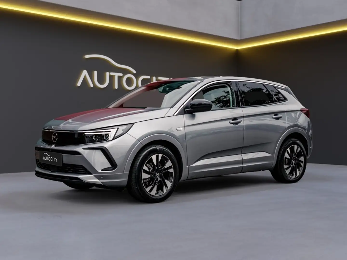 Opel Grandland 1.2 Turbo Elegance | CAMERA | WINTERPAKKET Gris - 1