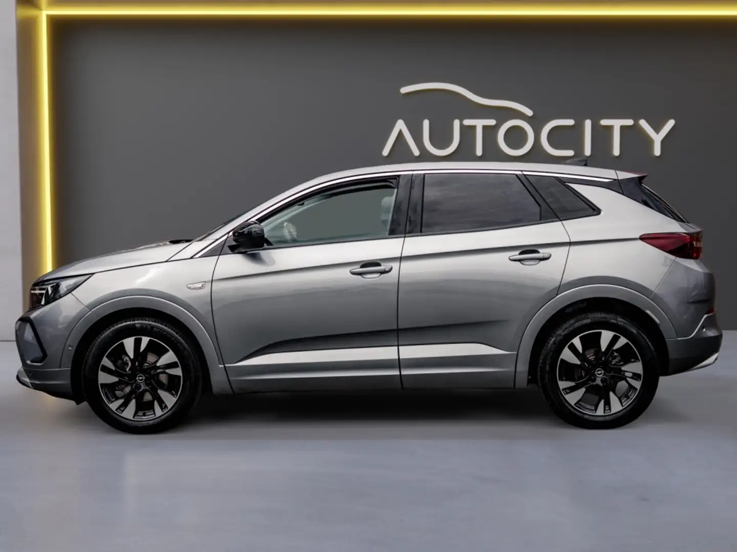 Opel Grandland 1.2 Turbo Elegance | CAMERA | WINTERPAKKET Gris - 2
