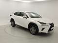 Lexus NX 300h BUSINESS NAVI. 2.5 HYBRID 197 CV AUTO 5P 2WD Blanc - thumbnail 6