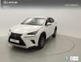 Lexus NX 300h BUSINESS NAVI. 2.5 HYBRID 197 CV AUTO 5P 2WD Blanc - thumbnail 1