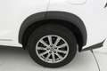 Lexus NX 300h BUSINESS NAVI. 2.5 HYBRID 197 CV AUTO 5P 2WD Blanc - thumbnail 26