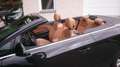 Opel Cascada Innovation ecoFlex Schwarz - thumbnail 3