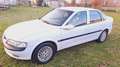 Opel Vectra 1.8i 16V cat 4 porte CD Bianco - thumbnail 3