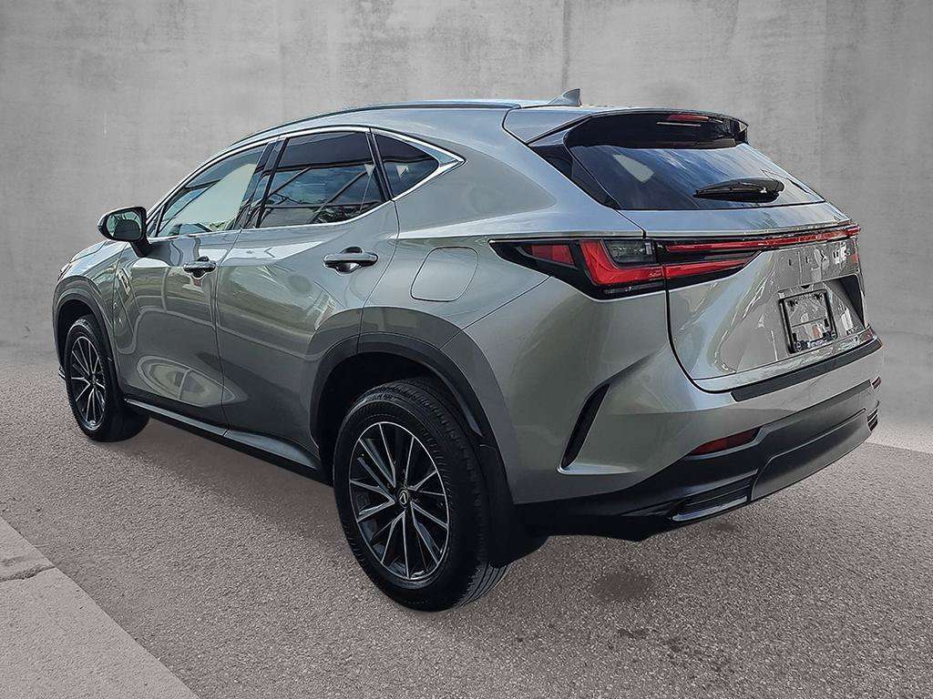 2024 Lexus NX