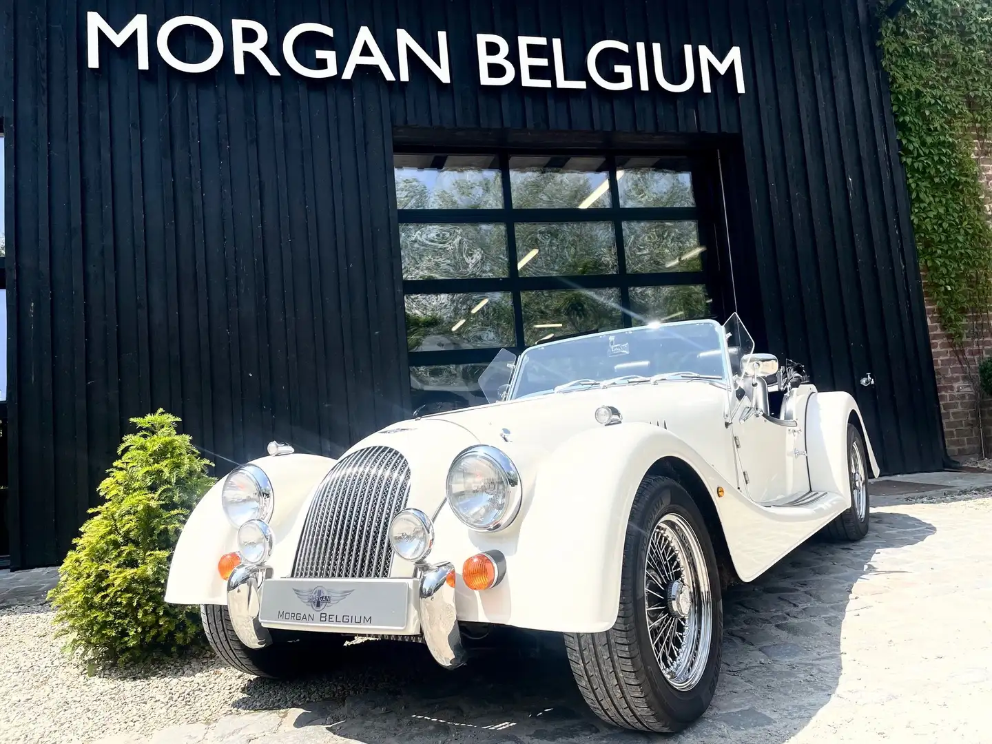 Morgan Plus 4 Blanc - 2