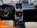 Lexus NX 300h Executive 4WD Tecno + Navibox - 5 P (2014) Grey - thumbnail 14