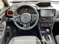 Subaru Forester 2.0ie Mild-Hybrid Edition Sport 40 Blau - thumbnail 12