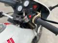 Buell S 3 Blanco - thumbnail 15
