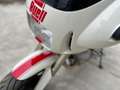 Buell S 3 Blanco - thumbnail 6