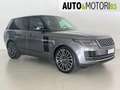 Land Rover Range Rover 3.0 TDV6 Vogue *BOOK SERVICE LAND ROVER* Grigio - thumbnail 3
