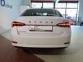 Skoda Octavia TDI 4x4 DSG *MWST *HEAD UP *LED *SPORT *VOLL-AUSS Bianco - thumbnail 7