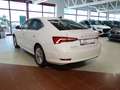 Skoda Octavia TDI 4x4 DSG *MWST *HEAD UP *LED *SPORT *VOLL-AUSS Bianco - thumbnail 5