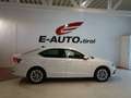 Skoda Octavia TDI 4x4 DSG *MWST *HEAD UP *LED *SPORT *VOLL-AUSS Bianco - thumbnail 10