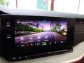 Skoda Octavia TDI 4x4 DSG *MWST *HEAD UP *LED *SPORT *VOLL-AUSS Weiß - thumbnail 36