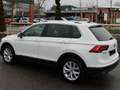 Volkswagen Tiguan TSI Highline BMT/Start-Stopp DSG ACC LED Alcantara Weiß - thumbnail 3