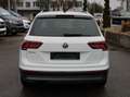 Volkswagen Tiguan TSI Highline BMT/Start-Stopp DSG ACC LED Alcantara Weiß - thumbnail 6
